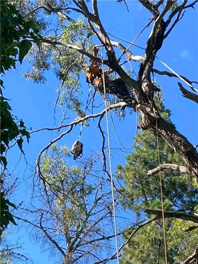 Press Release Feature Image