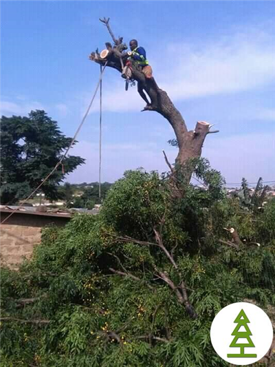 Press Release Feature Image