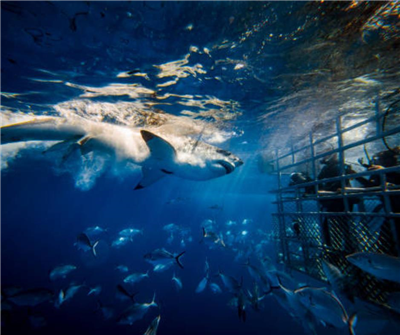 Press Release Feature Image