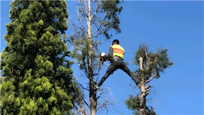 Press Release Feature Image